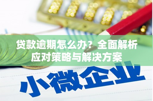 九原贷款逾期怎么办？全面解析应对策略与解决方案
