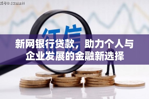 九原新网银行贷款，助力个人与企业发展的金融新选择