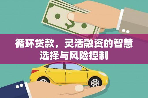 九原循环贷款，灵活融资的智慧选择与风险控制