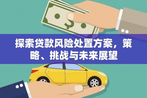 九原探索贷款风险处置方案，策略、挑战与未来展望