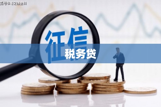 九原税务贷