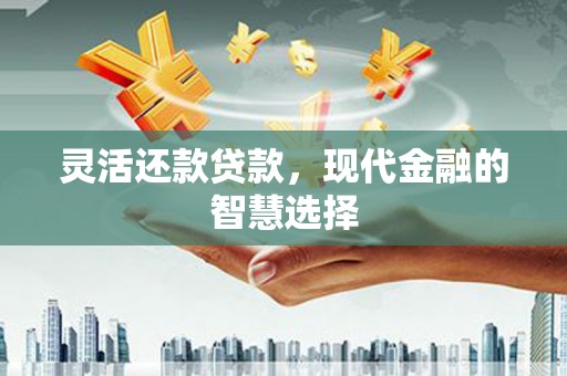 九原灵活还款贷款，现代金融的智慧选择