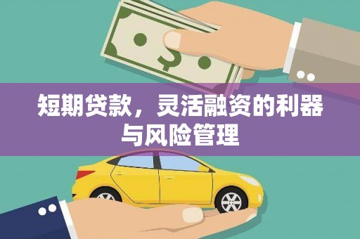 九原短期贷款，灵活融资的利器与风险管理