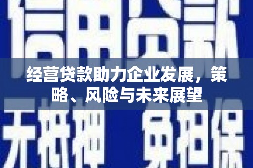 九原经营贷款助力企业发展，策略、风险与未来展望