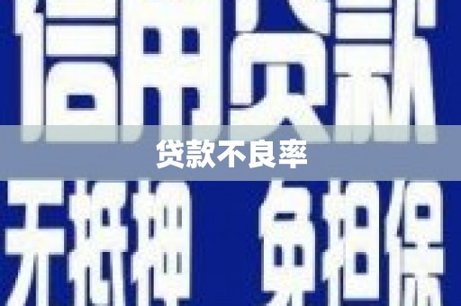 九原贷款不良率