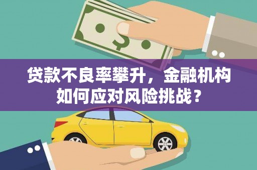 九原贷款不良率攀升，金融机构如何应对风险挑战？