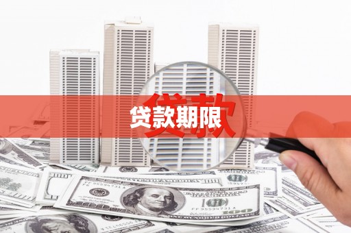 九原贷款期限