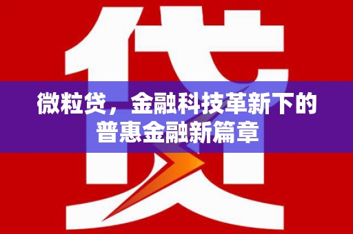 九原微粒贷，金融科技革新下的普惠金融新篇章