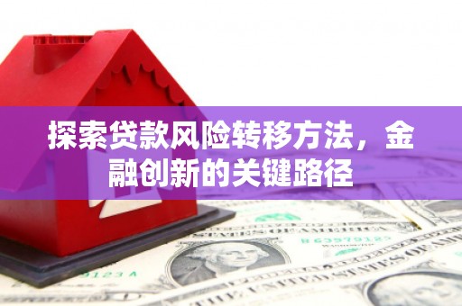 九原探索贷款风险转移方法，金融创新的关键路径