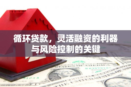 九原循环贷款，灵活融资的利器与风险控制的关键