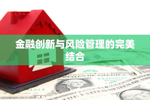 九原金融创新与风险管理的完美结合