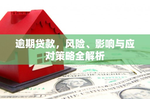 九原逾期贷款，风险、影响与应对策略全解析