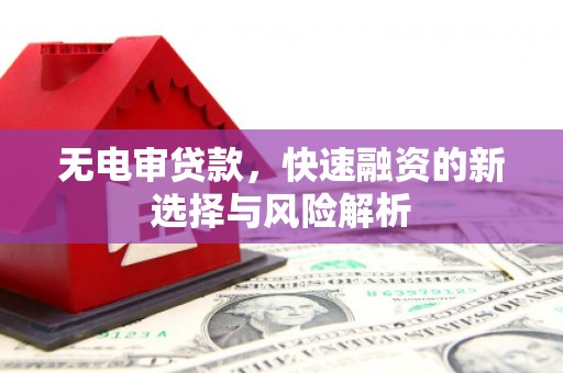 九原无电审贷款，快速融资的新选择与风险解析