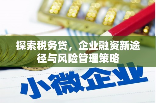 九原探索税务贷，企业融资新途径与风险管理策略