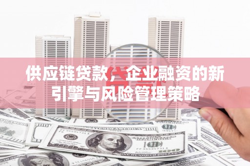 九原供应链贷款，企业融资的新引擎与风险管理策略