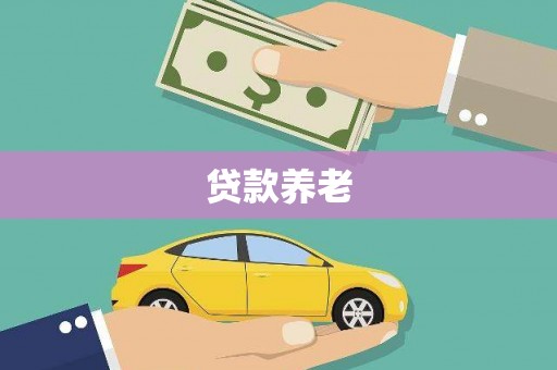 九原贷款养老