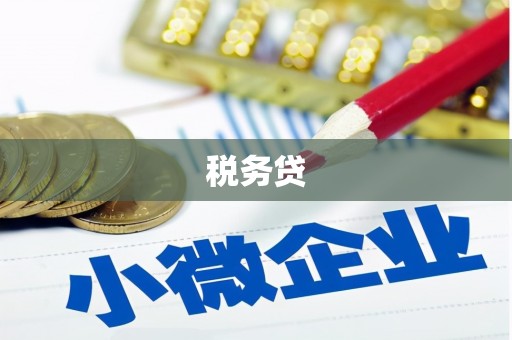九原税务贷