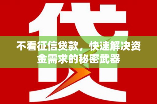 九原不看征信贷款，快速解决资金需求的秘密武器
