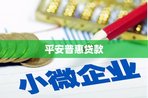 九原平安普惠贷款