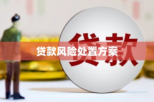 九原贷款风险处置方案