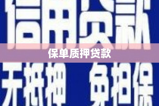 九原保单质押贷款