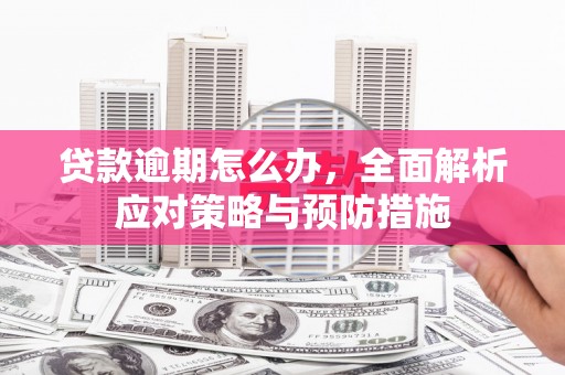 九原贷款逾期怎么办，全面解析应对策略与预防措施