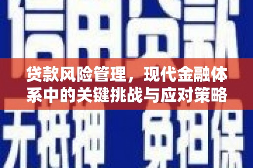 九原贷款风险管理，现代金融体系中的关键挑战与应对策略