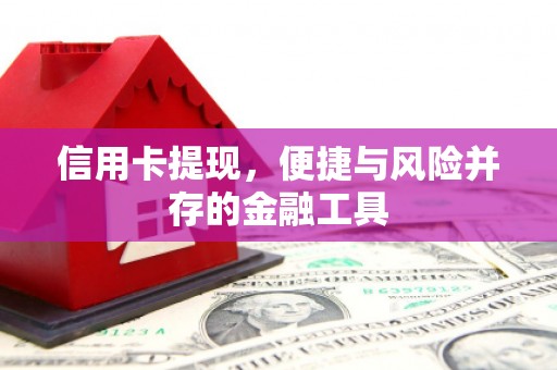 九原信用卡提现，便捷与风险并存的金融工具
