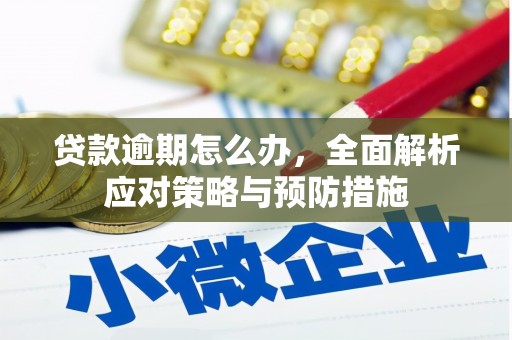 九原贷款逾期怎么办，全面解析应对策略与预防措施
