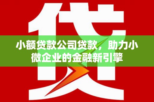 九原小额贷款公司贷款，助力小微企业的金融新引擎