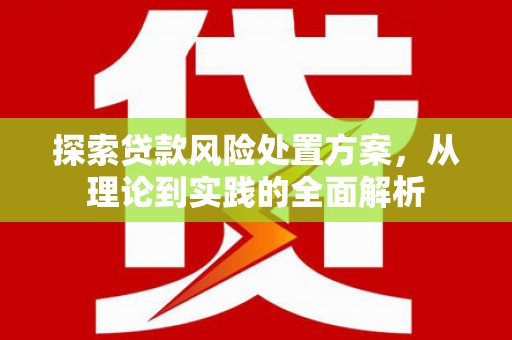 九原探索贷款风险处置方案，从理论到实践的全面解析