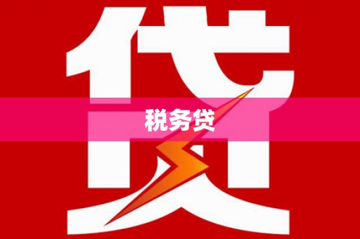 九原税务贷