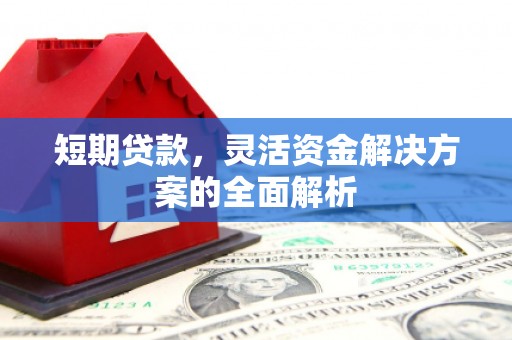 九原短期贷款，灵活资金解决方案的全面解析