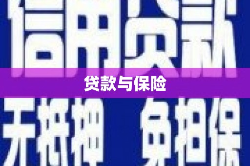 九原贷款与保险