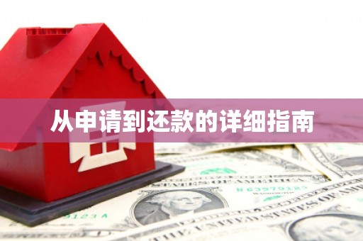 九原从申请到还款的详细指南