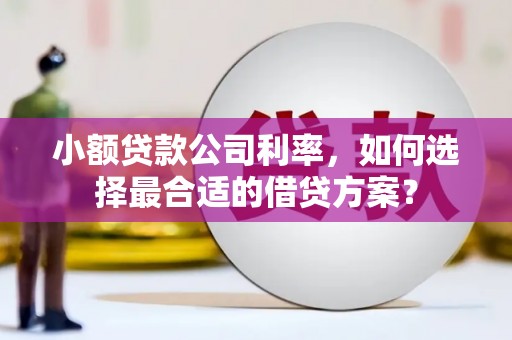 九原小额贷款公司利率，如何选择最合适的借贷方案？