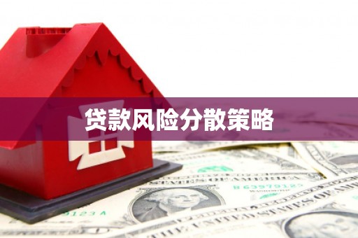 九原贷款风险分散策略