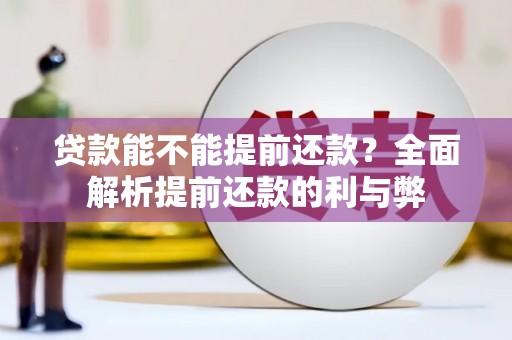 九原贷款能不能提前还款？全面解析提前还款的利与弊