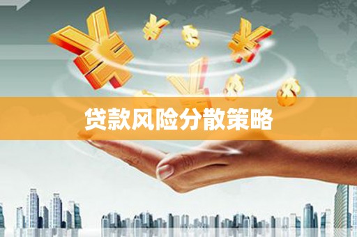 九原贷款风险分散策略