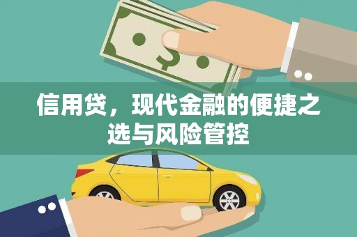九原信用贷，现代金融的便捷之选与风险管控