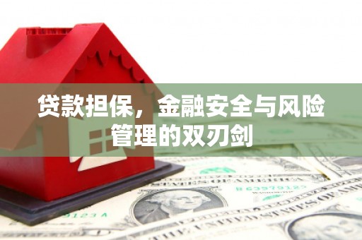 九原贷款担保，金融安全与风险管理的双刃剑