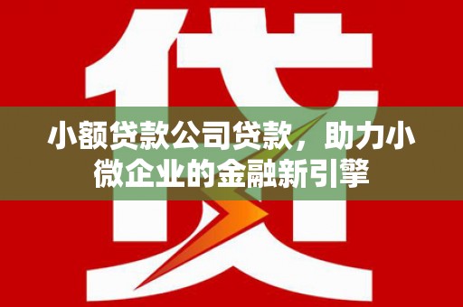 九原小额贷款公司贷款，助力小微企业的金融新引擎