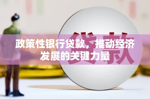 九原政策性银行贷款，推动经济发展的关键力量