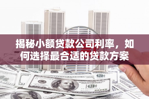 九原揭秘小额贷款公司利率，如何选择最合适的贷款方案