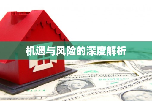 九原机遇与风险的深度解析