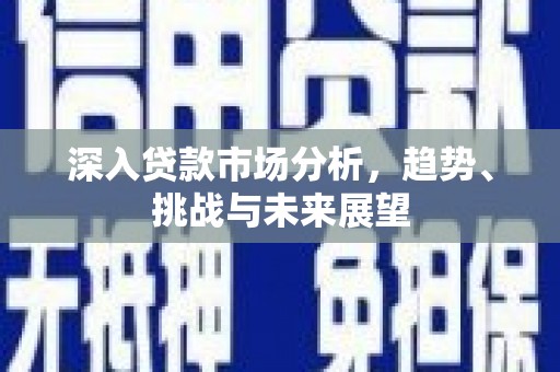 九原深入贷款市场分析，趋势、挑战与未来展望