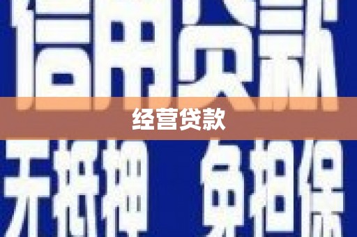 九原经营贷款