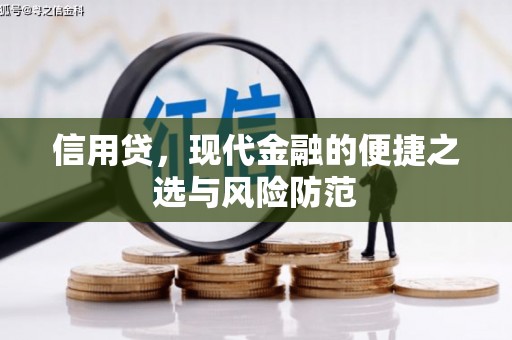 九原信用贷，现代金融的便捷之选与风险防范