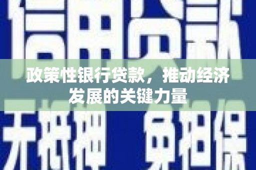 九原政策性银行贷款，推动经济发展的关键力量