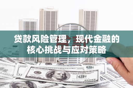九原贷款风险管理，现代金融的核心挑战与应对策略